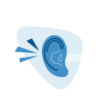 Ear and Hearing/Balance